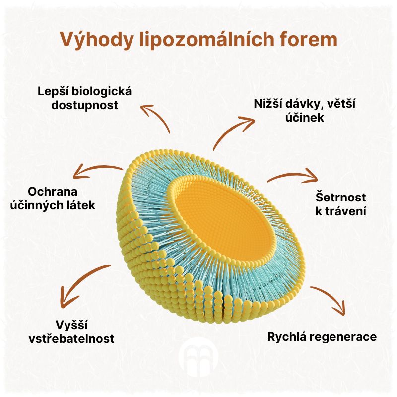 Liposomální formy